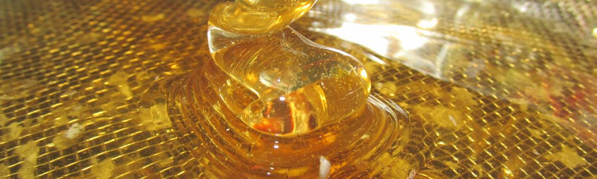 Stáčanie medu - voňavá práca